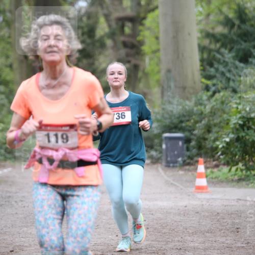 13.04.2025 - Hammer Lauf Jannik Wohlers http://msf.ph/oto/7646644 13.04.2025 11:33:37 Laufen 119, 736 meine-sportfotos.de