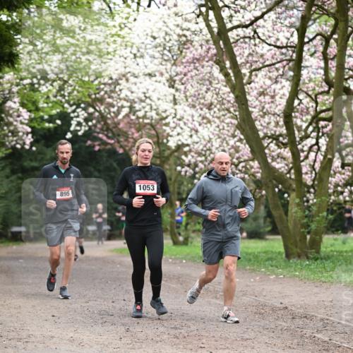 13.04.2025 - Hammer Lauf Dr. Thomas Lammeyer http://msf.ph/oto/7646661 13.04.2025 10:16:35 Laufen 1053, 895 meine-sportfotos.de