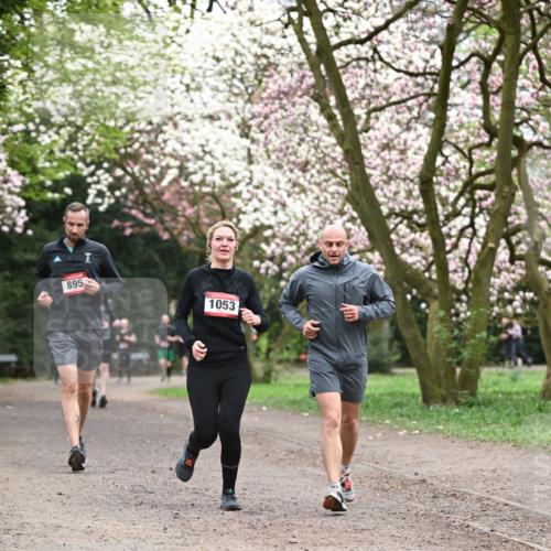 13.04.2025 - Hammer Lauf Dr. Thomas Lammeyer http://msf.ph/oto/7646667 13.04.2025 10:16:35 Laufen 895, 1053 meine-sportfotos.de
