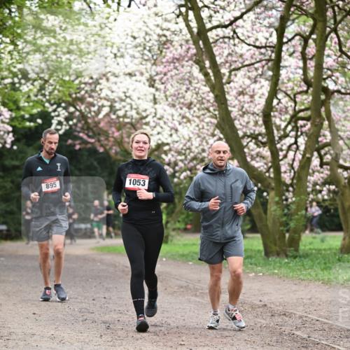 13.04.2025 - Hammer Lauf Dr. Thomas Lammeyer http://msf.ph/oto/7646674 13.04.2025 10:16:35 Laufen 895, 1053 meine-sportfotos.de