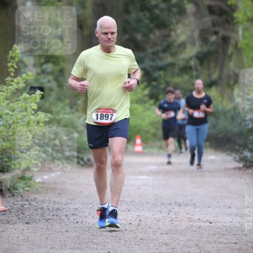 13.04.2025 - Hammer Lauf Jannik Wohlers http://msf.ph/oto/7646792 13.04.2025 11:32:43 Laufen 1897 meine-sportfotos.de