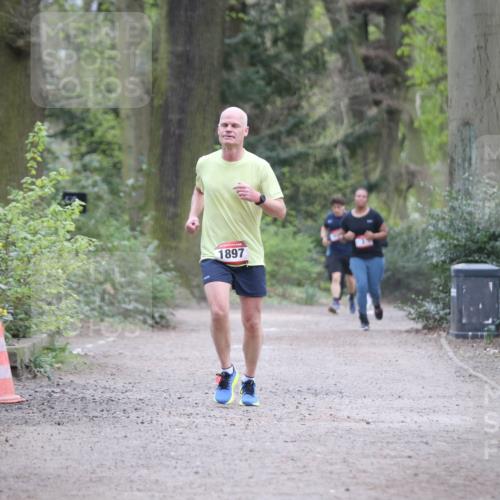 13.04.2025 - Hammer Lauf Jannik Wohlers http://msf.ph/oto/7646797 13.04.2025 11:32:42 Laufen 1897 meine-sportfotos.de