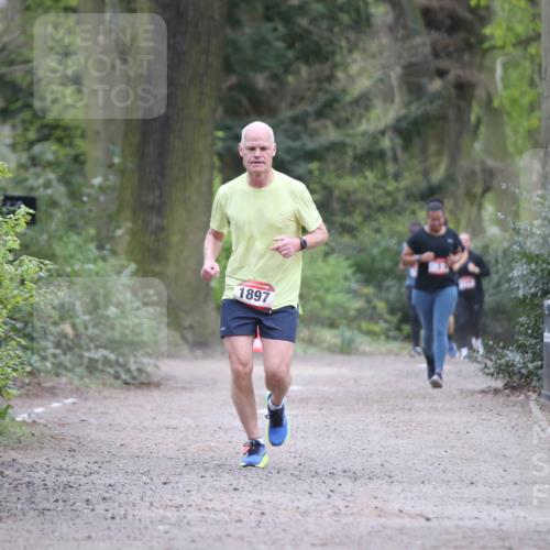 13.04.2025 - Hammer Lauf Jannik Wohlers http://msf.ph/oto/7646808 13.04.2025 11:32:41 Laufen 1897 meine-sportfotos.de