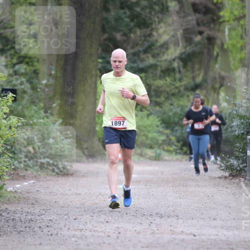 13.04.2025 - Hammer Lauf Jannik Wohlers http://msf.ph/oto/7646810 13.04.2025 11:32:41 Laufen 1897 meine-sportfotos.de