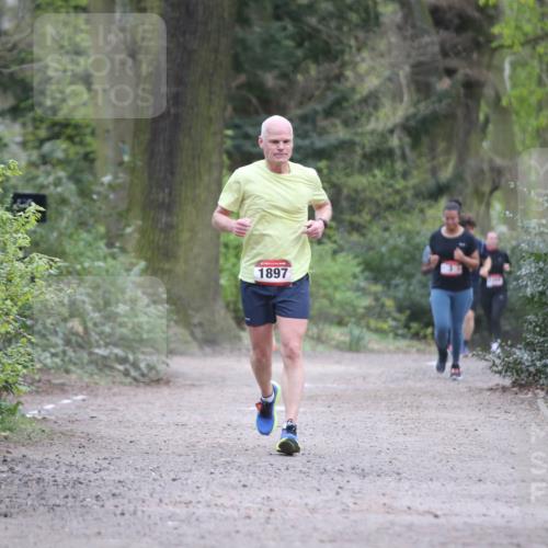 13.04.2025 - Hammer Lauf Jannik Wohlers http://msf.ph/oto/7646815 13.04.2025 11:32:40 Laufen 1897 meine-sportfotos.de
