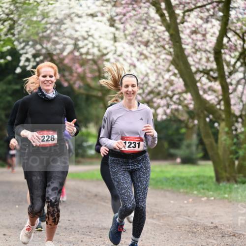 13.04.2025 - Hammer Lauf Dr. Thomas Lammeyer http://msf.ph/oto/7646982 13.04.2025 10:17:03 Laufen 15, 228, 15, 1231 meine-sportfotos.de