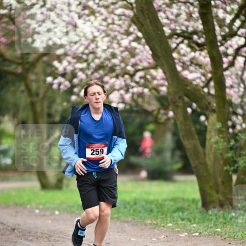 13.04.2025 - Hammer Lauf Dr. Thomas Lammeyer http://msf.ph/oto/7647107 13.04.2025 10:17:29 Laufen 15, 259 meine-sportfotos.de