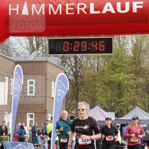 13.04.2025 - Hammer Lauf A. Gomolzig http://msf.ph/oto/7647692 13.04.2025 10:15:46 Ziel 209, 323, 1068, 1183, 1223, 1224, 1323, 1342, 1836 meine-sportfotos.de