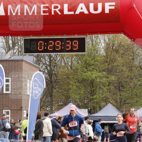 13.04.2025 - Hammer Lauf A. Gomolzig http://msf.ph/oto/7647744 13.04.2025 10:15:39 Ziel 149, 1323, 1342, 1836 meine-sportfotos.de