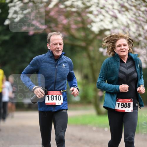 13.04.2025 - Hammer Lauf Dr. Thomas Lammeyer http://msf.ph/oto/7647946 13.04.2025 10:18:46 Laufen 15, 1910, 91, 3, 15, 1908, 89 meine-sportfotos.de