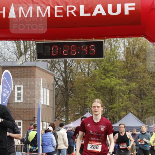 13.04.2025 - Hammer Lauf A. Gomolzig http://msf.ph/oto/7648010 13.04.2025 10:14:45 Ziel 181, 288, 338, 564, 675, 694, 695, 1063, 1805 meine-sportfotos.de