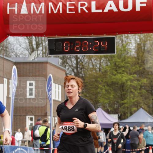 13.04.2025 - Hammer Lauf A. Gomolzig http://msf.ph/oto/7648089 13.04.2025 10:14:24 Ziel 136, 151, 311, 410, 574, 772, 1588, 1778, 1968, 1988 meine-sportfotos.de