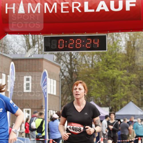 13.04.2025 - Hammer Lauf A. Gomolzig http://msf.ph/oto/7648095 13.04.2025 10:14:24 Ziel 136, 151, 311, 410, 574, 772, 1588, 1778, 1968, 1988 meine-sportfotos.de