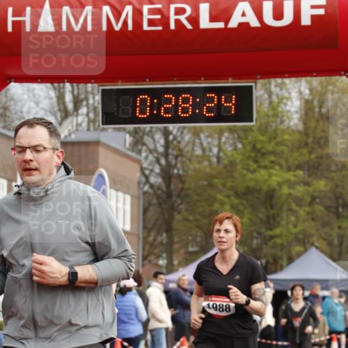 13.04.2025 - Hammer Lauf A. Gomolzig http://msf.ph/oto/7648099 13.04.2025 10:14:23 Ziel 151, 311, 410, 574, 772, 1588, 1778, 1968, 1988 meine-sportfotos.de