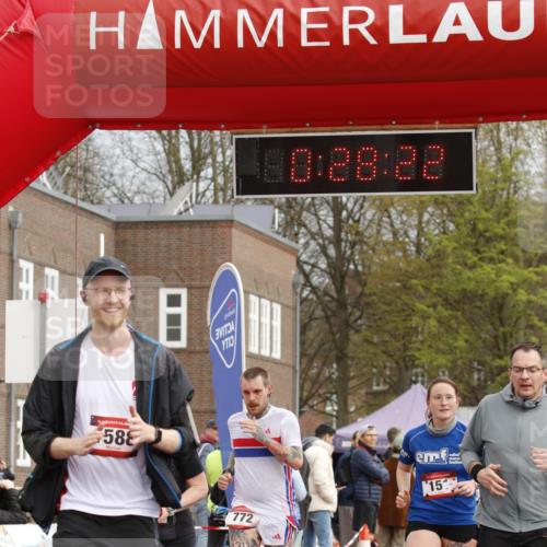 13.04.2025 - Hammer Lauf A. Gomolzig http://msf.ph/oto/7648111 13.04.2025 10:14:21 Ziel 151, 311, 410, 574, 772, 1588, 1968, 1988 meine-sportfotos.de