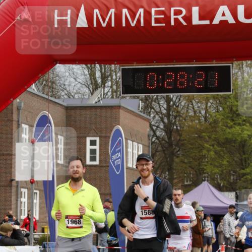13.04.2025 - Hammer Lauf A. Gomolzig http://msf.ph/oto/7648122 13.04.2025 10:14:20 Ziel 151, 311, 410, 574, 772, 1588, 1968, 1988 meine-sportfotos.de