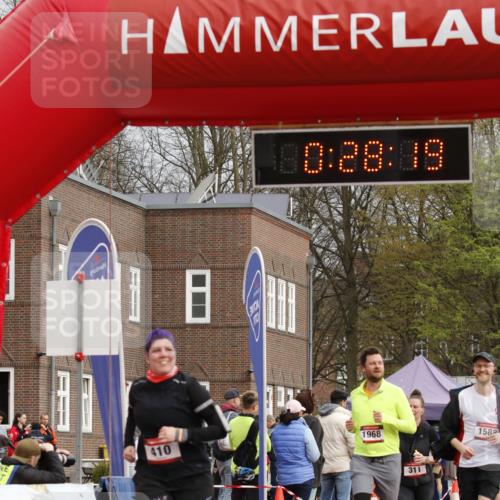 13.04.2025 - Hammer Lauf A. Gomolzig http://msf.ph/oto/7648132 13.04.2025 10:14:18 Ziel 151, 311, 326, 410, 574, 772, 1588, 1968, 1988 meine-sportfotos.de