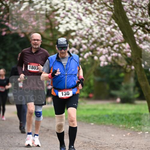 13.04.2025 - Hammer Lauf Dr. Thomas Lammeyer http://msf.ph/oto/7648248 13.04.2025 10:19:12 Laufen 1803, 04, 20, 130 meine-sportfotos.de