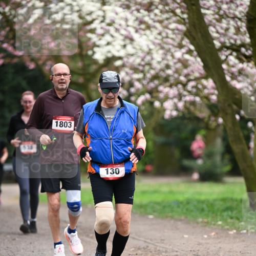 13.04.2025 - Hammer Lauf Dr. Thomas Lammeyer http://msf.ph/oto/7648255 13.04.2025 10:19:12 Laufen 538, 1803, 04, 20, 130 meine-sportfotos.de