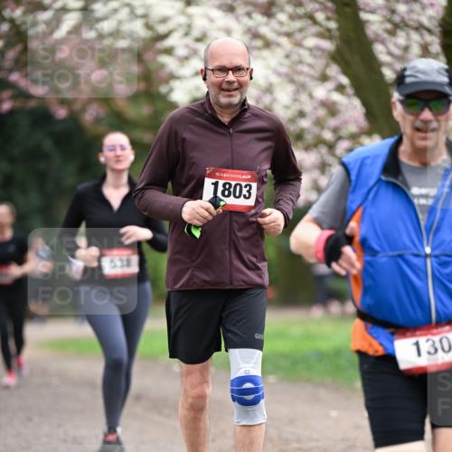 13.04.2025 - Hammer Lauf Dr. Thomas Lammeyer http://msf.ph/oto/7648295 13.04.2025 10:19:14 Laufen 538, 15, 1803, 3, 130 meine-sportfotos.de