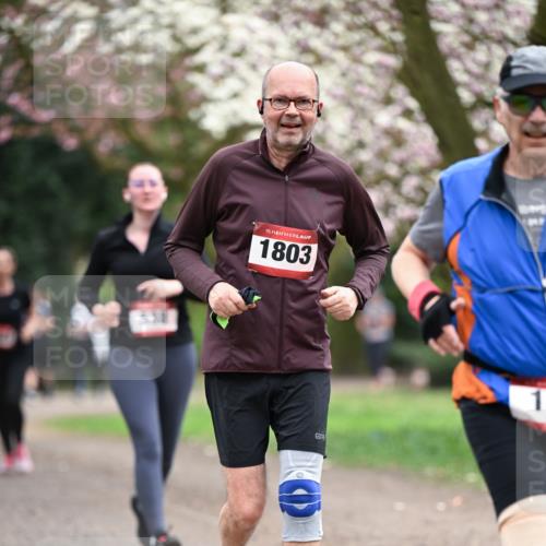 13.04.2025 - Hammer Lauf Dr. Thomas Lammeyer http://msf.ph/oto/7648299 13.04.2025 10:19:14 Laufen 538, 15, 1803, 3, 1 meine-sportfotos.de
