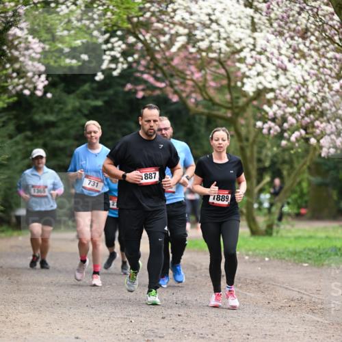 13.04.2025 - Hammer Lauf Dr. Thomas Lammeyer http://msf.ph/oto/7648355 13.04.2025 10:19:18 Laufen 1365, 731, 2, 887, 1889 meine-sportfotos.de