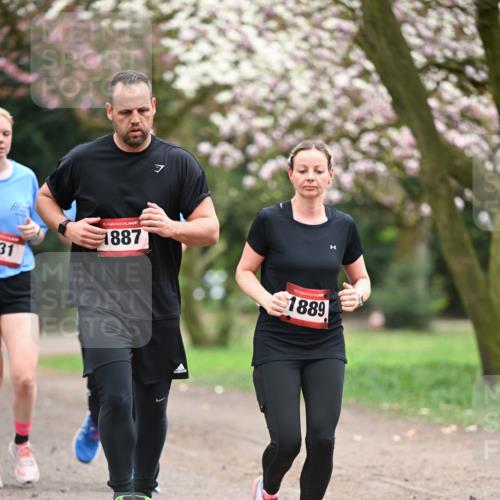 13.04.2025 - Hammer Lauf Dr. Thomas Lammeyer http://msf.ph/oto/7648375 13.04.2025 10:19:20 Laufen 31, 15, 1887, 15, 1889 meine-sportfotos.de