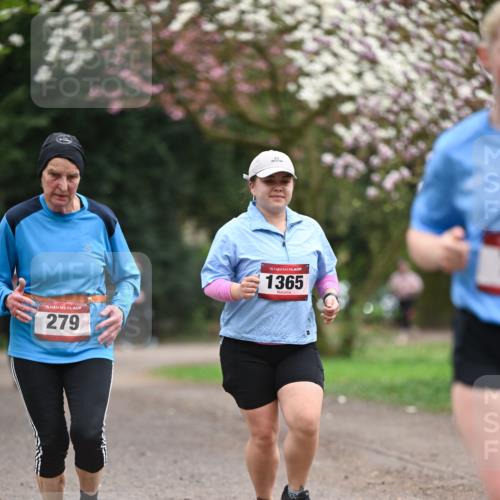 13.04.2025 - Hammer Lauf Dr. Thomas Lammeyer http://msf.ph/oto/7648425 13.04.2025 10:19:23 Laufen 15, 279, 15, 1365 meine-sportfotos.de