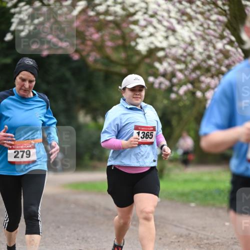 13.04.2025 - Hammer Lauf Dr. Thomas Lammeyer http://msf.ph/oto/7648430 13.04.2025 10:19:24 Laufen 15, 279, 15, 1365 meine-sportfotos.de