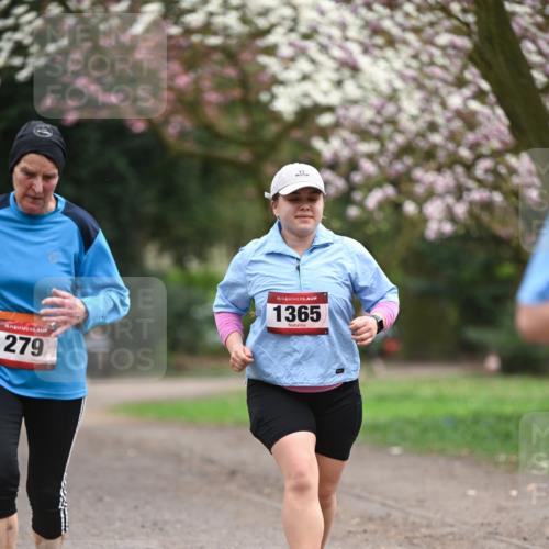 13.04.2025 - Hammer Lauf Dr. Thomas Lammeyer http://msf.ph/oto/7648437 13.04.2025 10:19:24 Laufen 15, 279, 15, 1365 meine-sportfotos.de