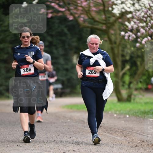 13.04.2025 - Hammer Lauf Dr. Thomas Lammeyer http://msf.ph/oto/7648476 13.04.2025 10:19:32 Laufen 266, 10, 15, 265 meine-sportfotos.de