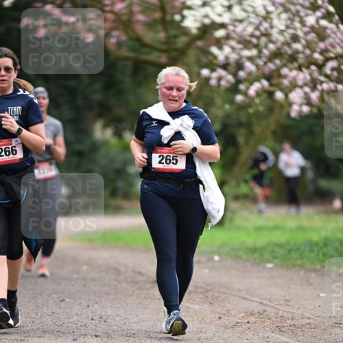 13.04.2025 - Hammer Lauf Dr. Thomas Lammeyer http://msf.ph/oto/7648492 13.04.2025 10:19:33 Laufen 10, 266, 15, 265 meine-sportfotos.de