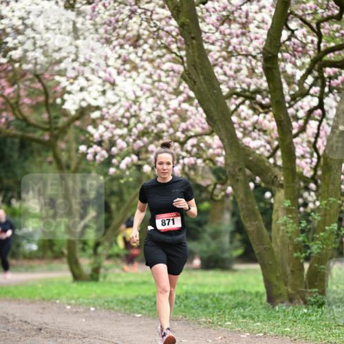 13.04.2025 - Hammer Lauf Dr. Thomas Lammeyer http://msf.ph/oto/7648737 13.04.2025 10:20:00 Laufen 871 meine-sportfotos.de