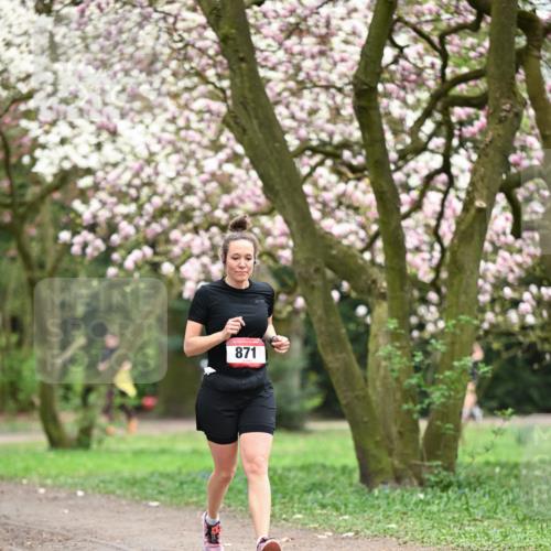 13.04.2025 - Hammer Lauf Dr. Thomas Lammeyer http://msf.ph/oto/7648744 13.04.2025 10:20:00 Laufen 871 meine-sportfotos.de