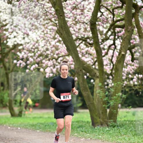 13.04.2025 - Hammer Lauf Dr. Thomas Lammeyer http://msf.ph/oto/7648746 13.04.2025 10:20:01 Laufen 871 meine-sportfotos.de