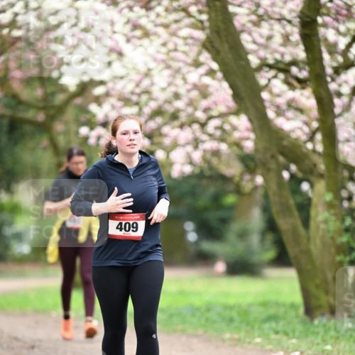 13.04.2025 - Hammer Lauf Dr. Thomas Lammeyer http://msf.ph/oto/7648862 13.04.2025 10:20:18 Laufen 15, 409 meine-sportfotos.de