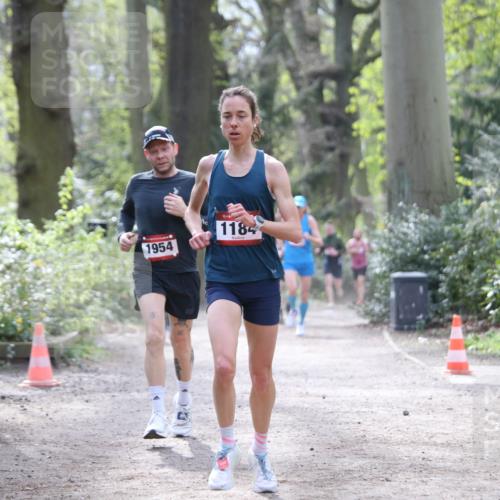 13.04.2025 - Hammer Lauf Jannik Wohlers http://msf.ph/oto/7648916 13.04.2025 11:25:26 Laufen 1954, 1184 meine-sportfotos.de