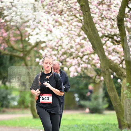 13.04.2025 - Hammer Lauf Dr. Thomas Lammeyer http://msf.ph/oto/7649103 13.04.2025 10:21:37 Laufen 543 meine-sportfotos.de