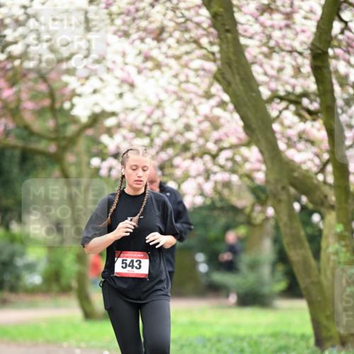 13.04.2025 - Hammer Lauf Dr. Thomas Lammeyer http://msf.ph/oto/7649105 13.04.2025 10:21:37 Laufen 15, 543 meine-sportfotos.de