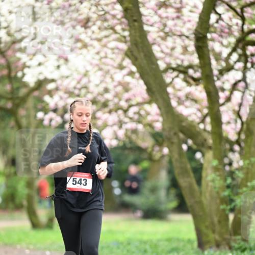 13.04.2025 - Hammer Lauf Dr. Thomas Lammeyer http://msf.ph/oto/7649108 13.04.2025 10:21:37 Laufen 543 meine-sportfotos.de