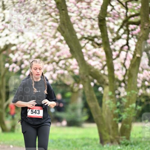 13.04.2025 - Hammer Lauf Dr. Thomas Lammeyer http://msf.ph/oto/7649111 13.04.2025 10:21:37 Laufen 543 meine-sportfotos.de