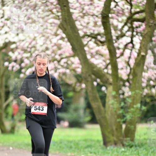 13.04.2025 - Hammer Lauf Dr. Thomas Lammeyer http://msf.ph/oto/7649113 13.04.2025 10:21:37 Laufen 543 meine-sportfotos.de