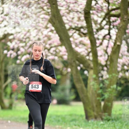13.04.2025 - Hammer Lauf Dr. Thomas Lammeyer http://msf.ph/oto/7649116 13.04.2025 10:21:37 Laufen 1, 543 meine-sportfotos.de