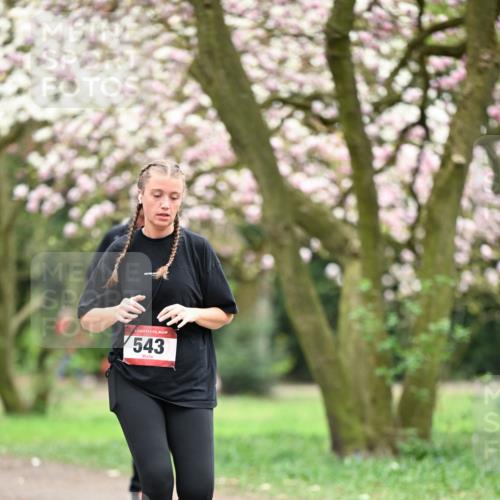 13.04.2025 - Hammer Lauf Dr. Thomas Lammeyer http://msf.ph/oto/7649118 13.04.2025 10:21:37 Laufen 543 meine-sportfotos.de