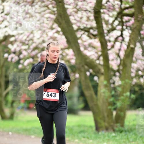 13.04.2025 - Hammer Lauf Dr. Thomas Lammeyer http://msf.ph/oto/7649121 13.04.2025 10:21:38 Laufen 543 meine-sportfotos.de