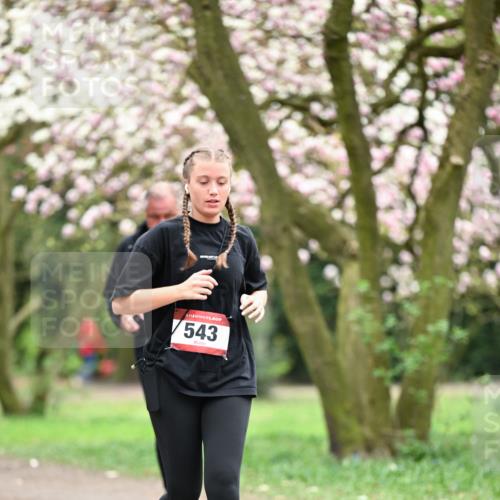 13.04.2025 - Hammer Lauf Dr. Thomas Lammeyer http://msf.ph/oto/7649123 13.04.2025 10:21:38 Laufen 543 meine-sportfotos.de