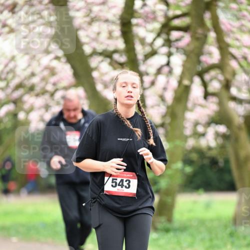 13.04.2025 - Hammer Lauf Dr. Thomas Lammeyer http://msf.ph/oto/7649138 13.04.2025 10:21:39 Laufen 543 meine-sportfotos.de