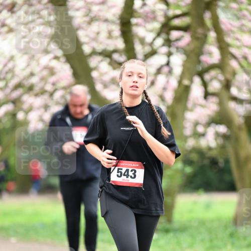 13.04.2025 - Hammer Lauf Dr. Thomas Lammeyer http://msf.ph/oto/7649141 13.04.2025 10:21:39 Laufen 6, 543 meine-sportfotos.de
