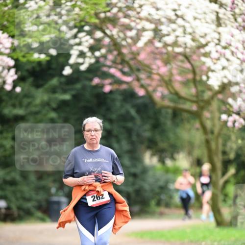13.04.2025 - Hammer Lauf Dr. Thomas Lammeyer http://msf.ph/oto/7649154 13.04.2025 10:21:48 Laufen 262 meine-sportfotos.de