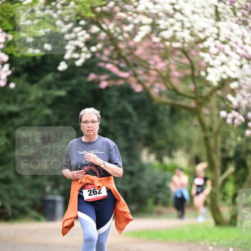 13.04.2025 - Hammer Lauf Dr. Thomas Lammeyer http://msf.ph/oto/7649157 13.04.2025 10:21:48 Laufen 17, 15, 262 meine-sportfotos.de